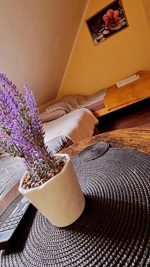 Lesne Klimaty Apartment Polanczyk Bagian luar foto